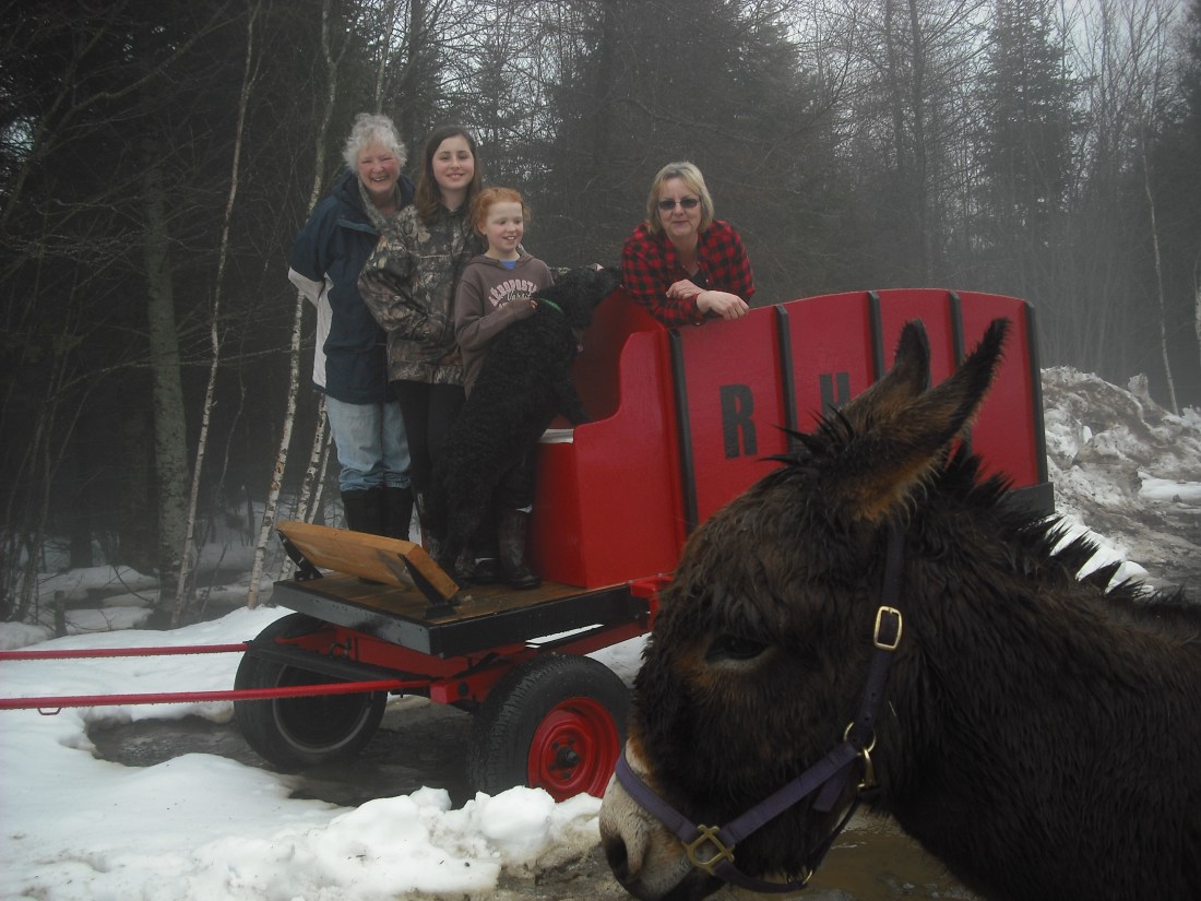 Rocky Hollow Ranch, Nova Scotia (Winter, 2018)