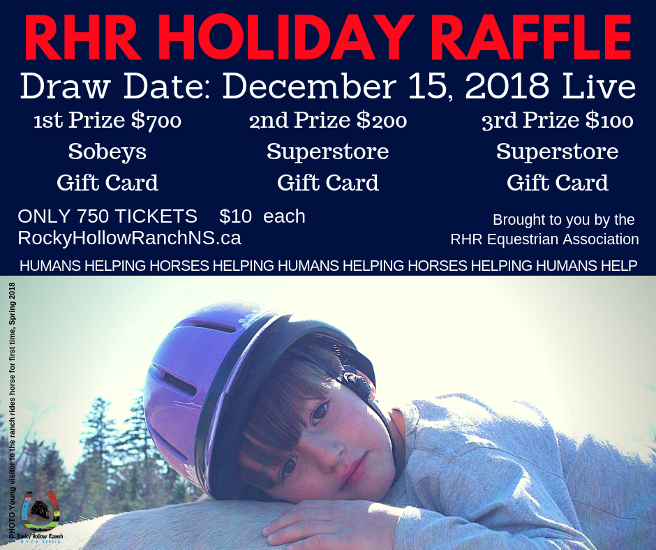 Rocky Hollow Ranch Holiday Raffle 2018 FINAL blue background